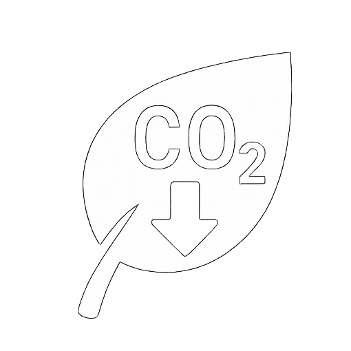 Cut your carbon footprint Cut your carbon footprint