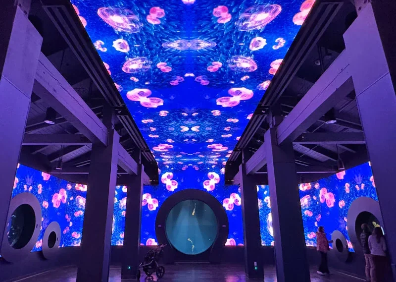 Immersive LED screen at SeaWorld Jellyfish Exhibit