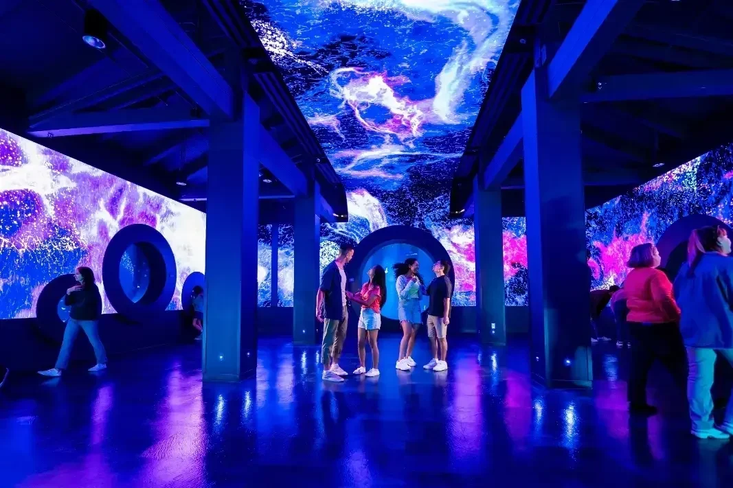 Immersive LED screen at SeaWorld Jellyfish Exhibit