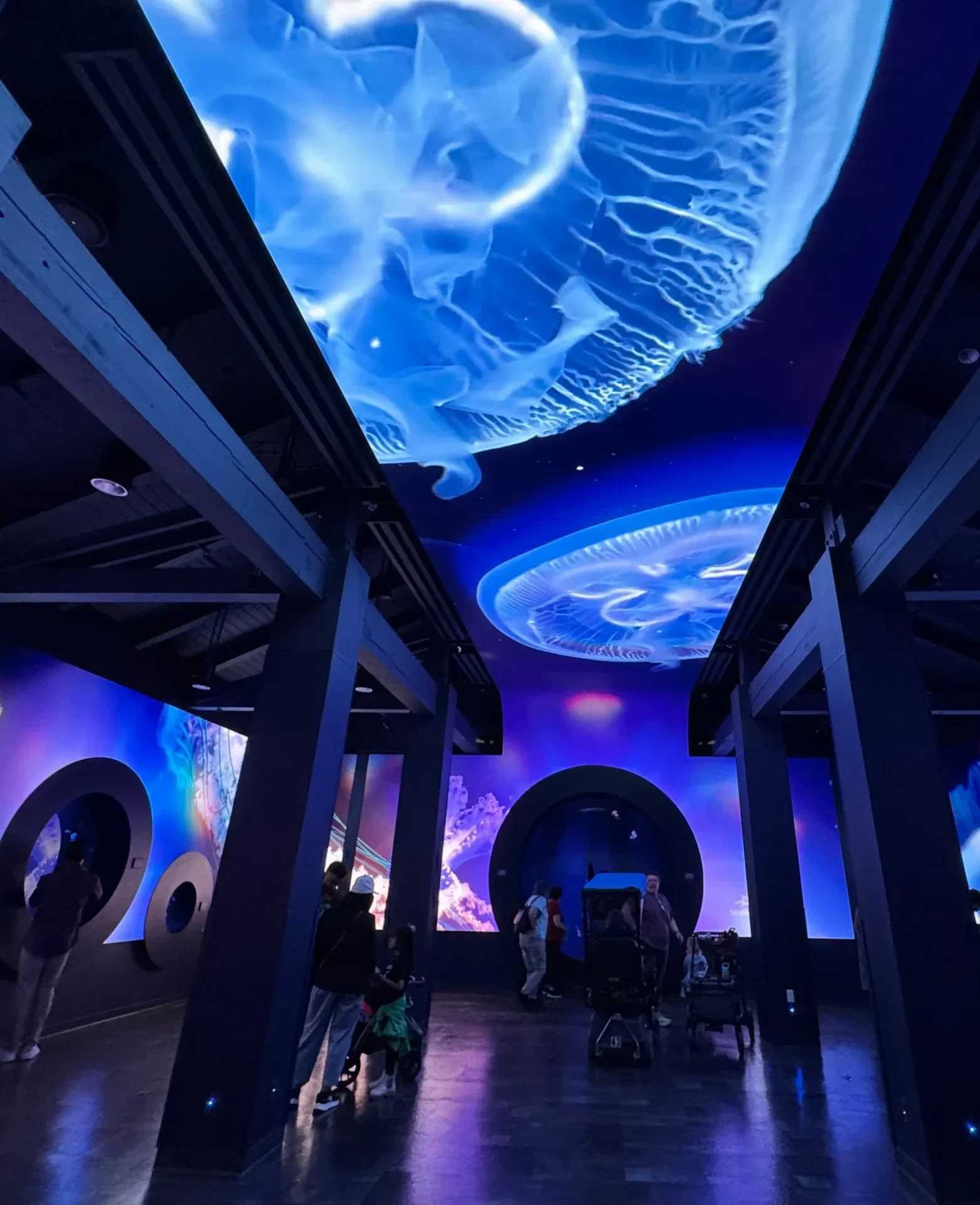 Immersive LED screen at SeaWorld Jellyfish Exhibit