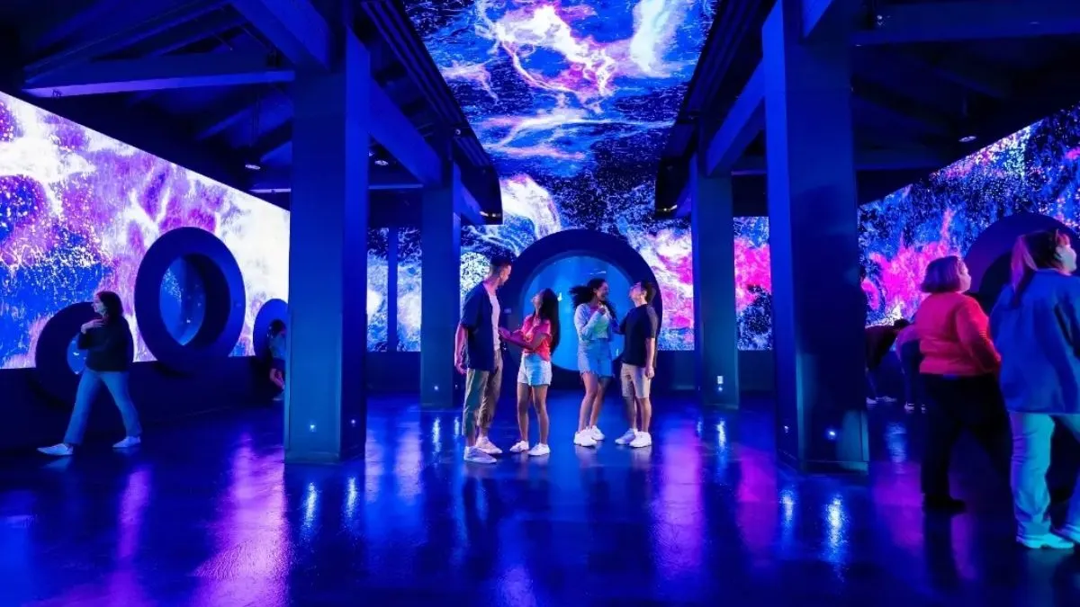 Immersive experiences Immersive experiences