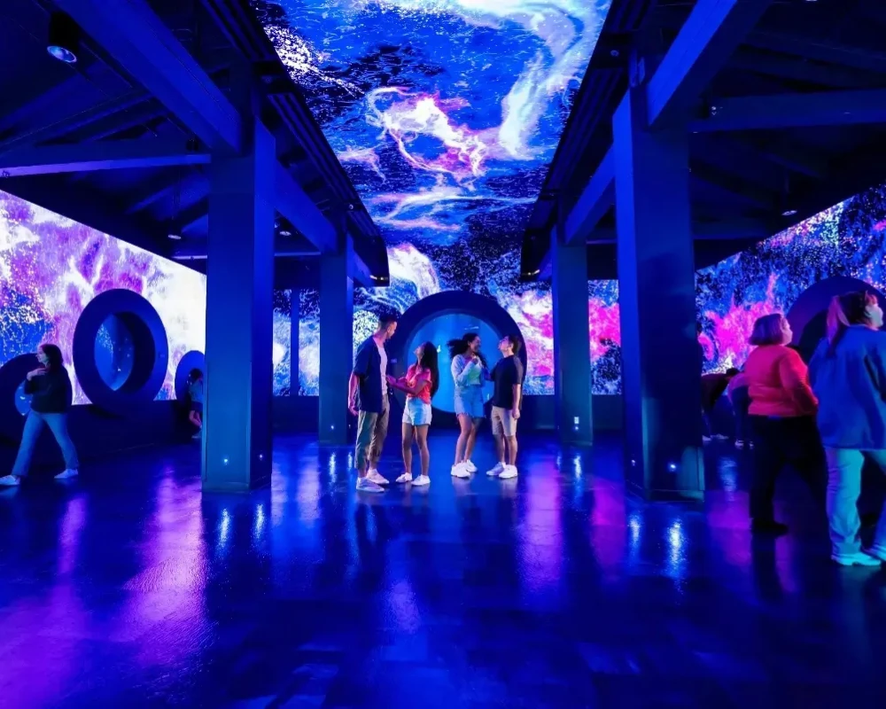 Immersive LED screen at SeaWorld Jellyfish Exhibit Immersive LED screen at SeaWorld Jellyfish Exhibit