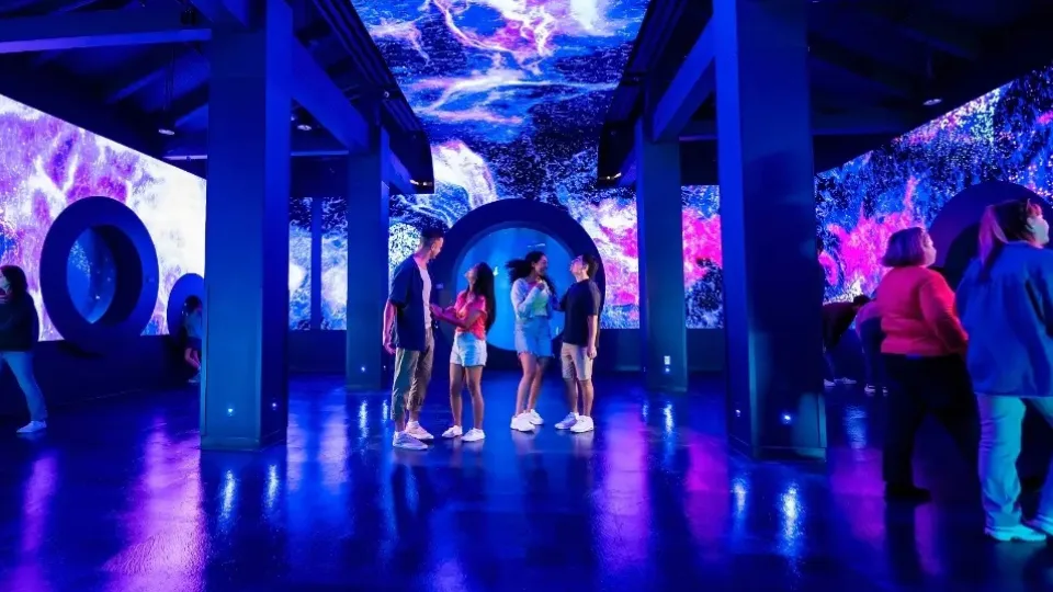 Immersive LED screen at SeaWorld Jellyfish Exhibit Immersive LED screen at SeaWorld Jellyfish Exhibit
