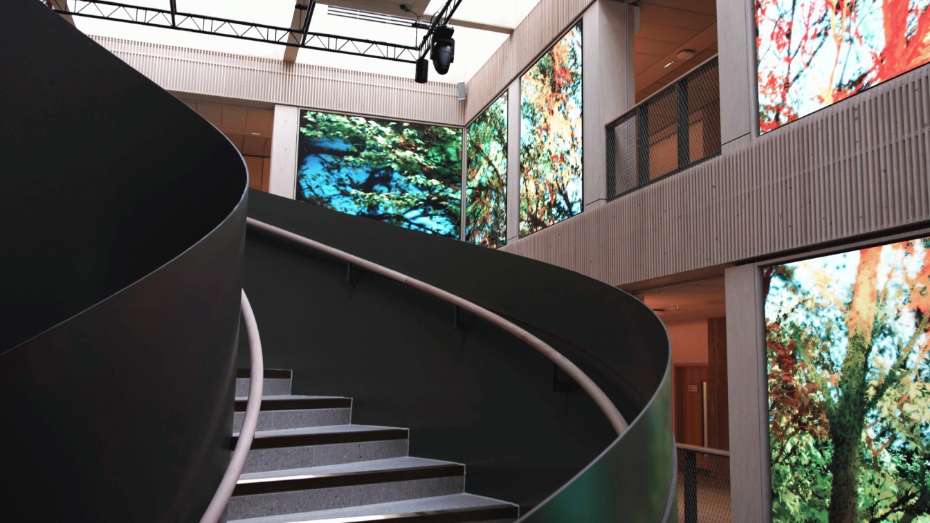Immersive LED installation at Culture House Sunderland